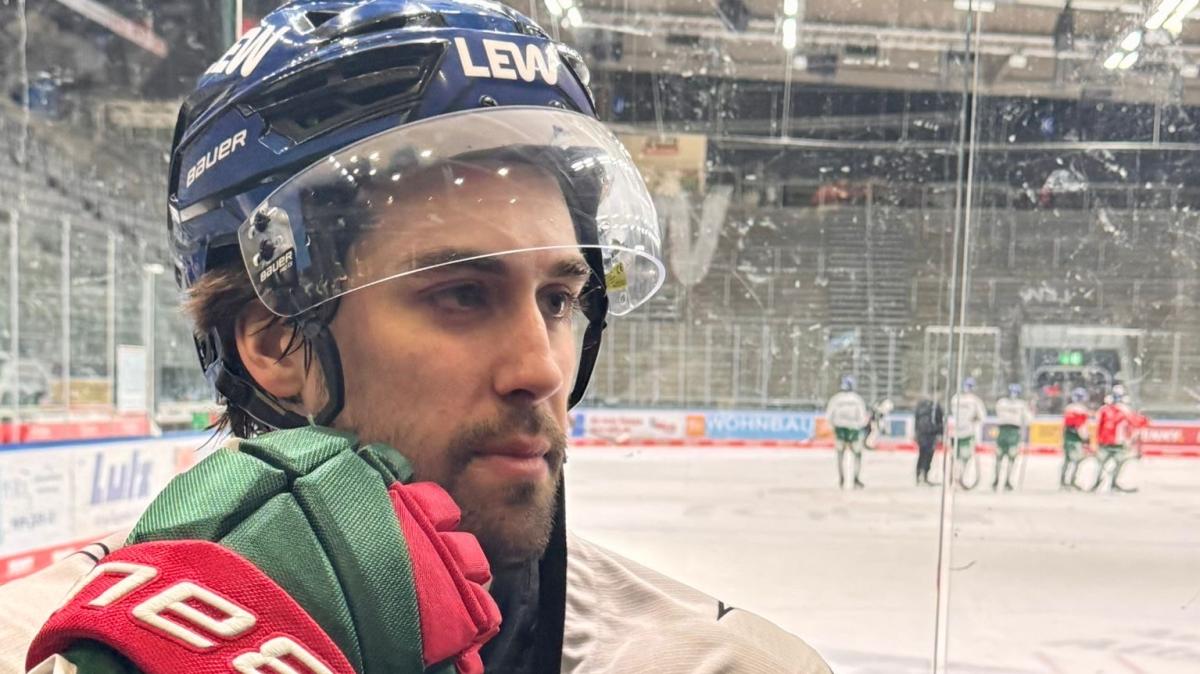 Alles, was man über den Panther-Neuzugang David Farrance wissen muss