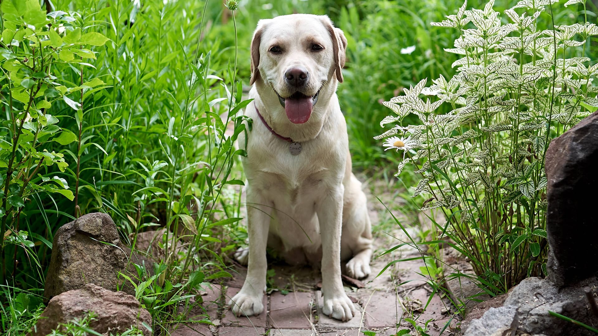 imago images 0799381877 imago images 0799381877