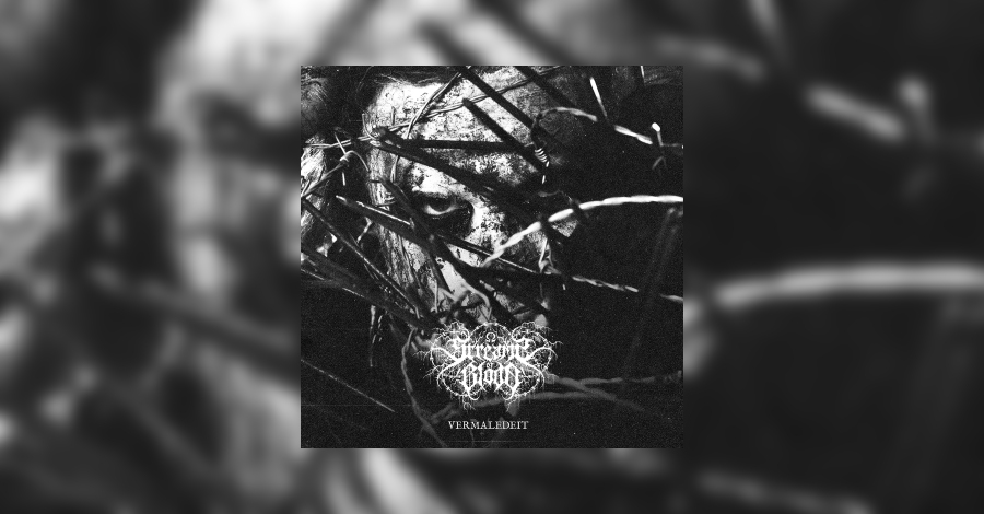 Streams Of Blood – Vermaledeit Review • metal.de