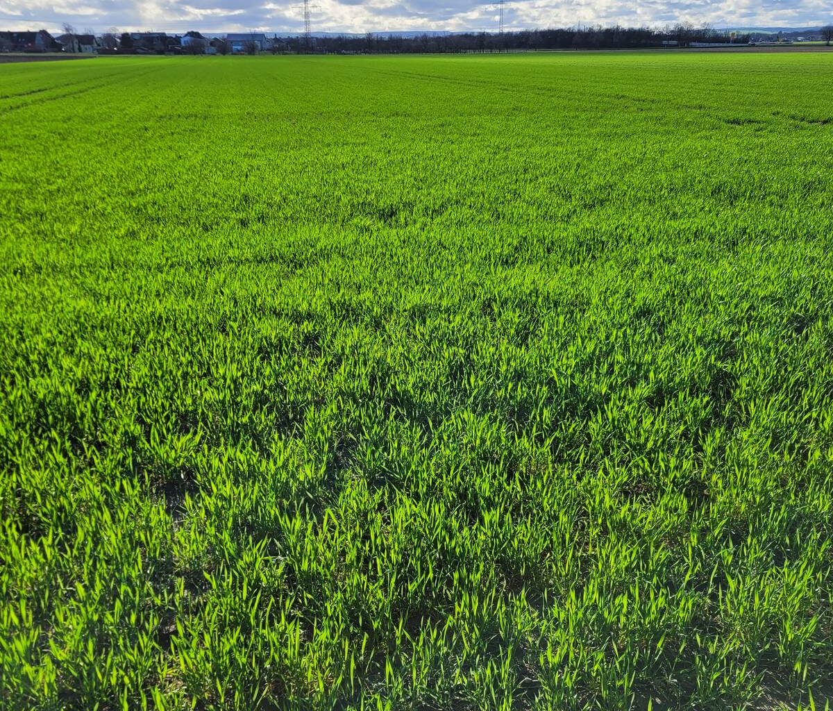 BUND informiert über Schattenseiten von Olympiabewerbung