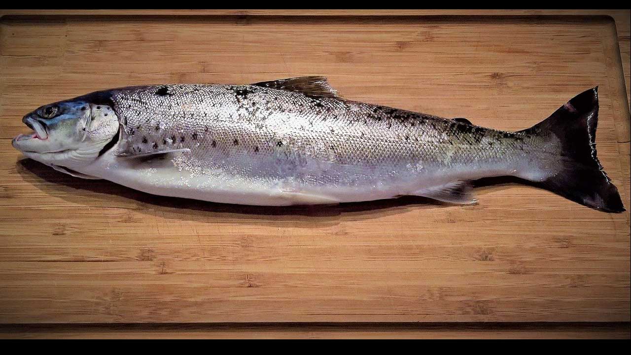 Neuer Fischratgeber: Welchen Fisch darf man essen?