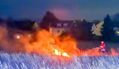 500 Quadratmeter Wiese in Karlsruhe stehen in Flammen