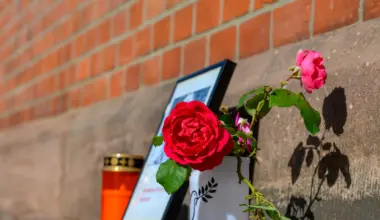 Nach Tod von 16-Jähriger in Friedland: Keine Anklage - warum der Verdächtiger schuldunfähig ist - NDR.de