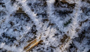Bis zu Minus zwölf Grad drohen in Berlin und Brandenburg