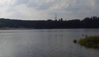 Neujahrsbaden am Fühlinger See - Radio Köln