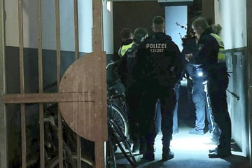 Zeugen entdecken flüchtigen Einbrecher: Polizei fahndet mit Großaufgebot