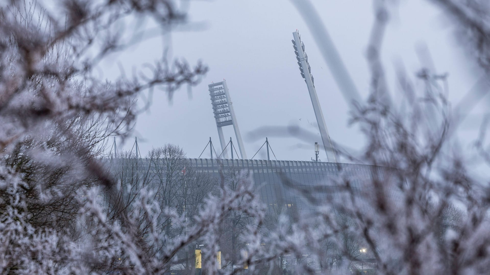 imago images 1057915830