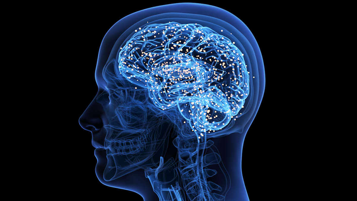 Prokrastination: Wie das Gehirn uns abhält, schwierige Aufgaben anzugehen