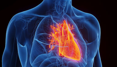 „Dann gibt man Vorhofflimmern die Chance, einen krankhaften Umbau im Herzen voranzutreiben“ - WELT