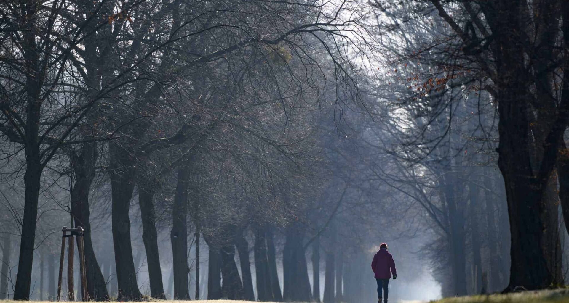 Großer Garten mit neuem Skulpturendepot