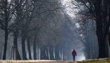 Großer Garten mit neuem Skulpturendepot