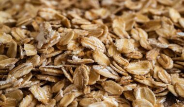 Uni Bonn: Zwei Tage Hafer mit Langzeiteffekt auf den Cholesterinspiegel | Honnef heute