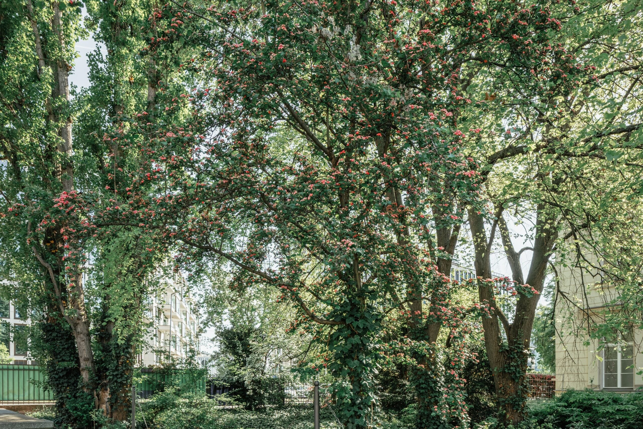 © Susan Philipsz, Foto: © Staatliche Museen zu Berlin, Nationalgalerie / Jacopo La Forgia