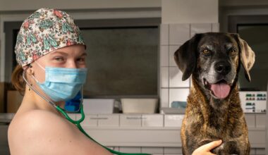 Erotik-Kalender aus Singen setzt auf Nacktheit für den guten Zweck