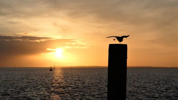 Sonnenuntergang über der Nordsee im nordfriesischen Dagebüll.