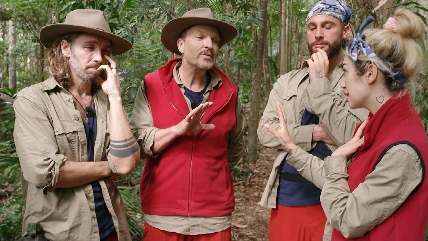 Ich bin ein Star – Holt mich hier raus!: Gil Ofarim, Ariel, Hardy Krüger und Umut Tekin wollen die Dschungelkrone. Ich bin ein Star – Holt mich hier raus!: Gil Ofarim, Ariel, Hardy Krüger und Umut Tekin wollen die Dschungelkrone.