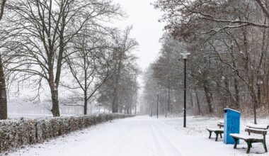Winterlandschaft am Möhnsee