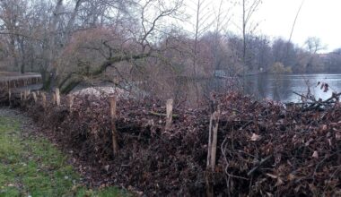 Schwimmen im Weißen See in Berlin jetzt nur noch Besserverdiener?
