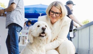 Wie die CSU Augsburg zum Hundeparadies machen will