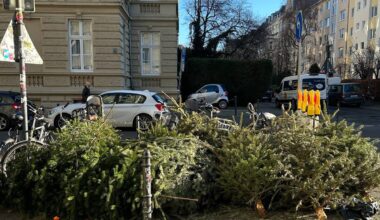 Kostenlose Weihnachtsbaumabfuhr der AWB startet in Köln