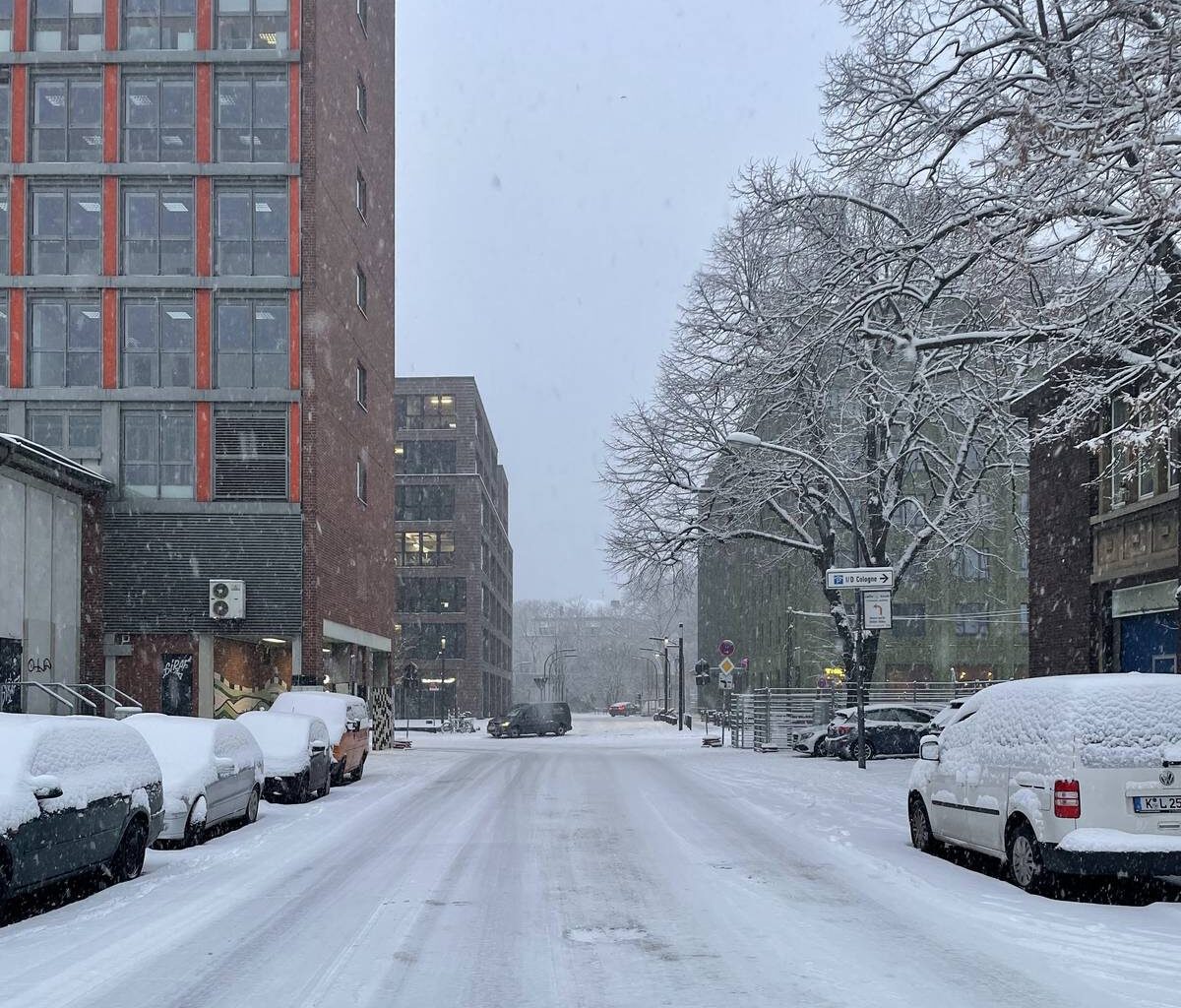 Elli macht glatt – Die AWB hält dagegen