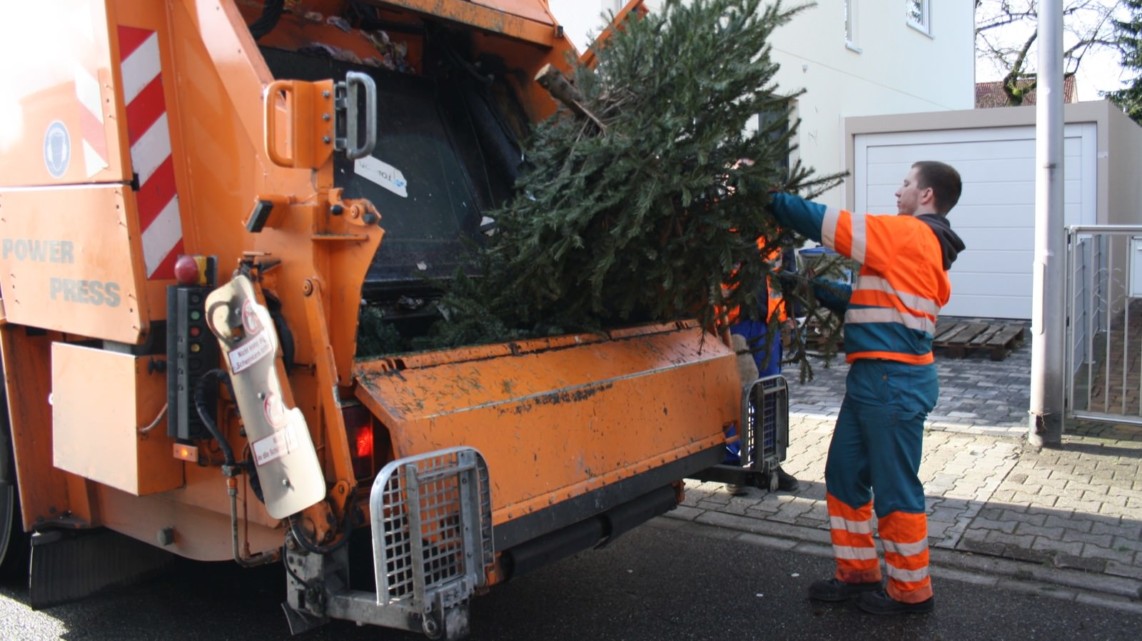 Weihnachtsbäume werden ab 7. Januar eingesammelt img 5433 e1610104679625 1142x641 - Weihnachtsbäume werden ab 7. Januar eingesammelt