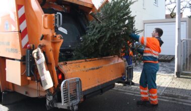 Weihnachtsbäume werden ab 7. Januar eingesammelt