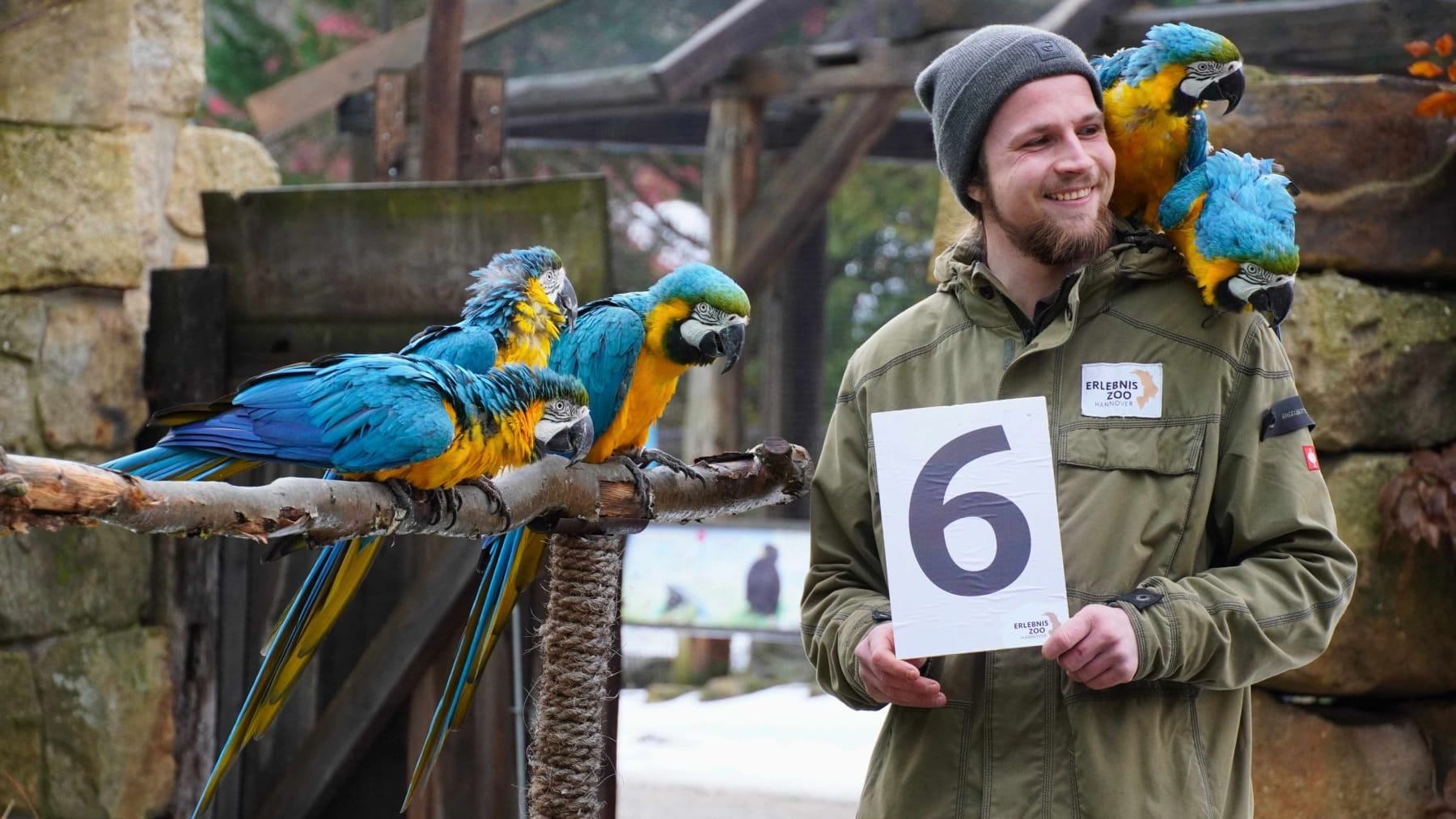 Inventur im Zoo: Die Tierpfleger zählen, messen und wiegen die Tiere.
