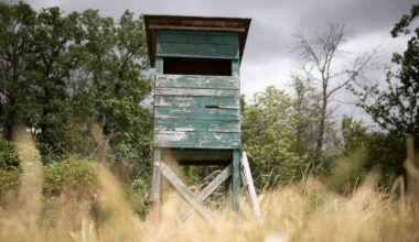 Jagen und Fischen Augsburg: Jagd wird immer populärer