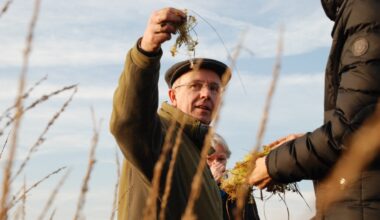 "Unrealistisch": Bremer Forscher zerpflückt Pläne für Moorschutz