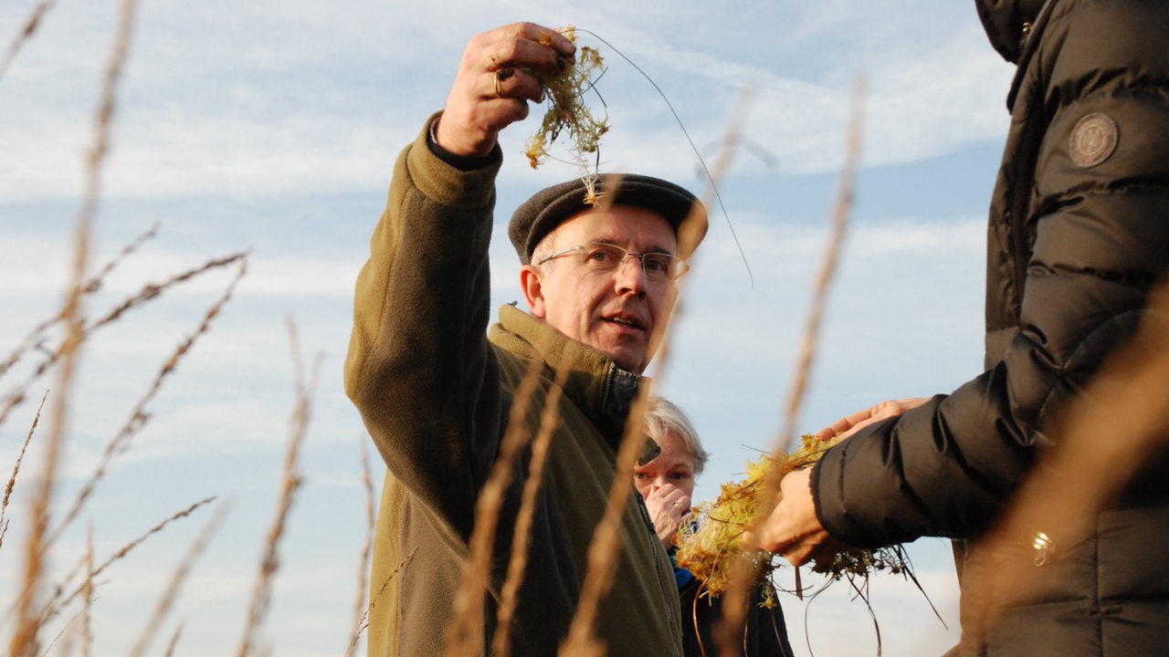 "Unrealistisch": Bremer Forscher zerpflückt Pläne für Moorschutz