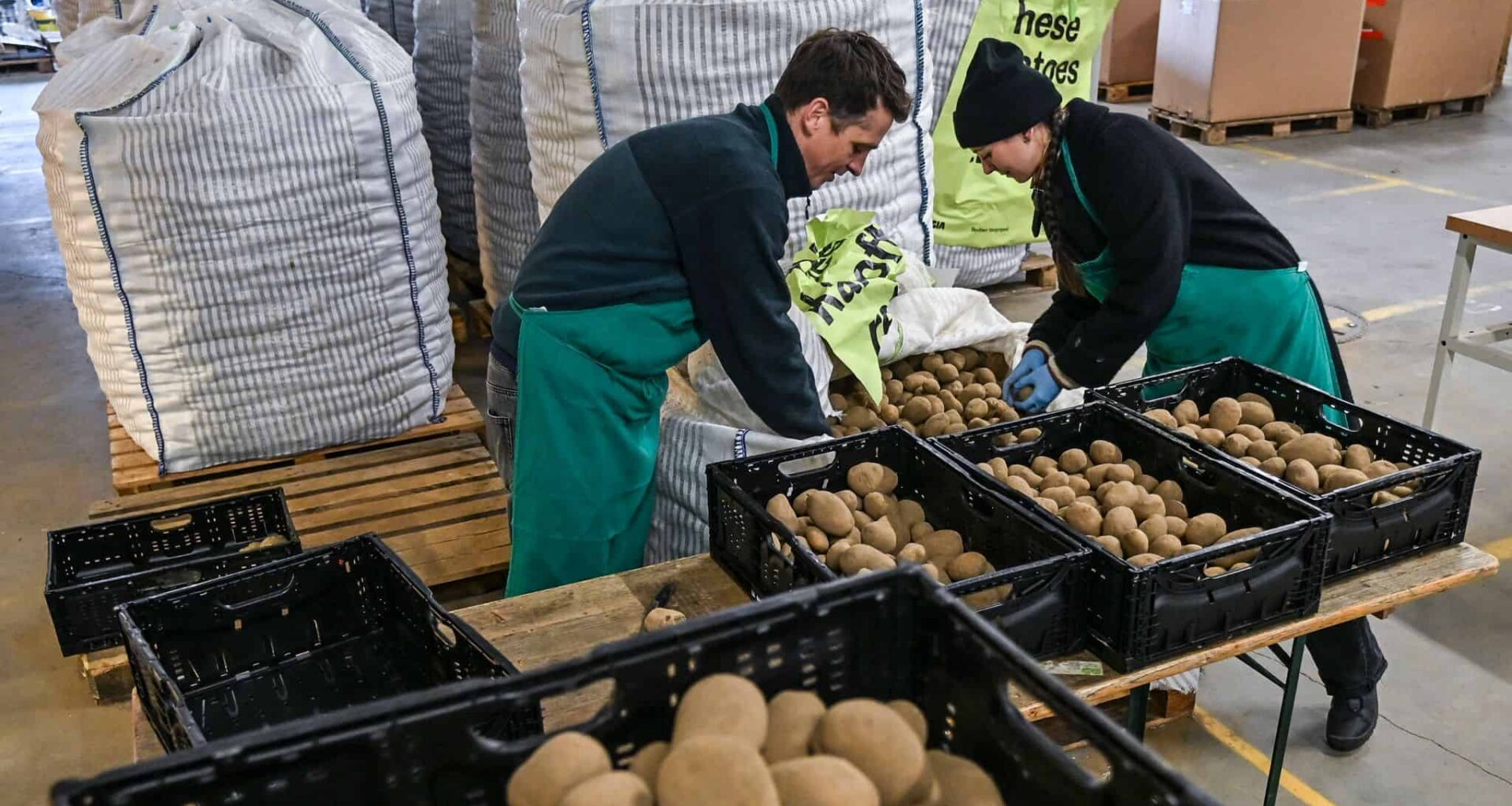 Kartoffel-Flut in Berlin - 22 Tonnen für die Tafel