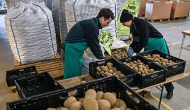 Kartoffel-Flut in Berlin - 22 Tonnen für die Tafel
