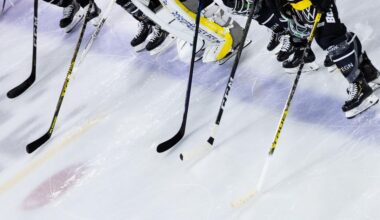 Adler Mannheim gewinnen spannendes DEL-Spiel in der Verlängerung