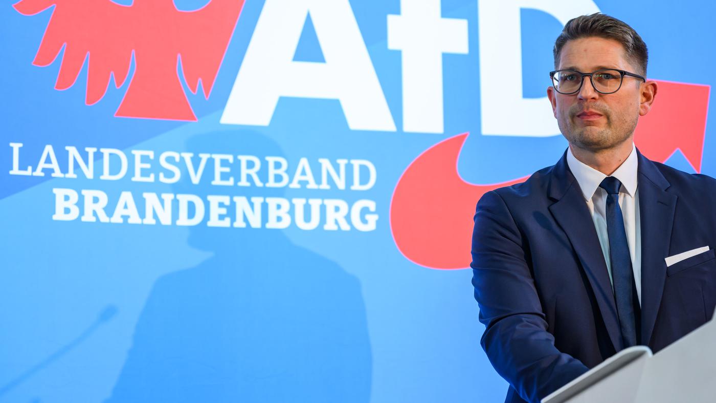 AfD nimmt Klagen gegen das Land Brandenburg zurück
