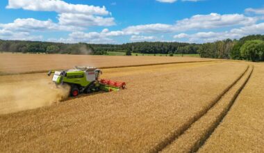 Brandenburg unterstützt seine Bauern weiter