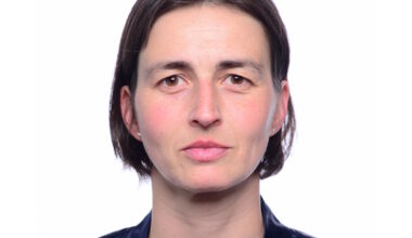 Wie man Gehirnzellen beim Lernen beobachten kann · Leipziger Zeitung