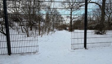Unbekannte stehlen Zaunteile am Görlitzer Park in Kreuzberg