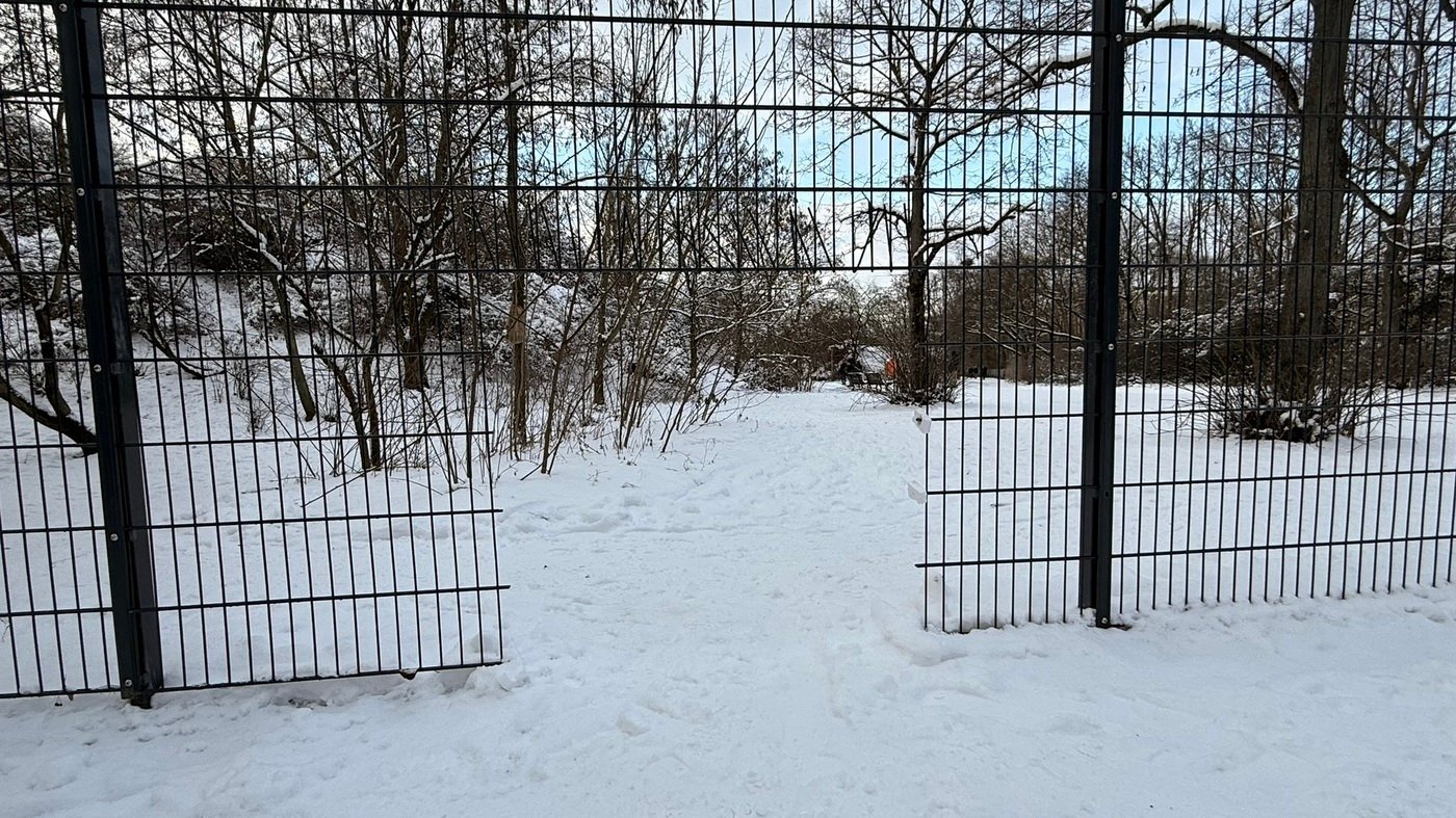 Unbekannte stehlen Zaunteile am Görlitzer Park in Kreuzberg