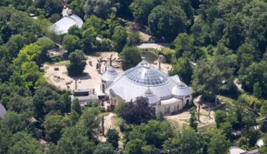 Nach zweimonatiger Schließung öffnet Zoo Hellabrunn die Voliere