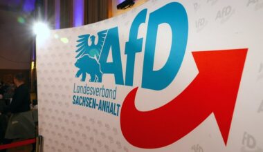 Vorwürfe von Machtmissbrauch und Parteischädigung: Worum es in der Schlammschlacht in der AfD Sachsen-Anhalt geht