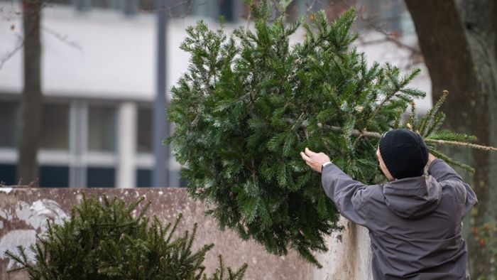 Kreis Esslingen: Wann und wo kann man seinen Christbaum entsorgen?