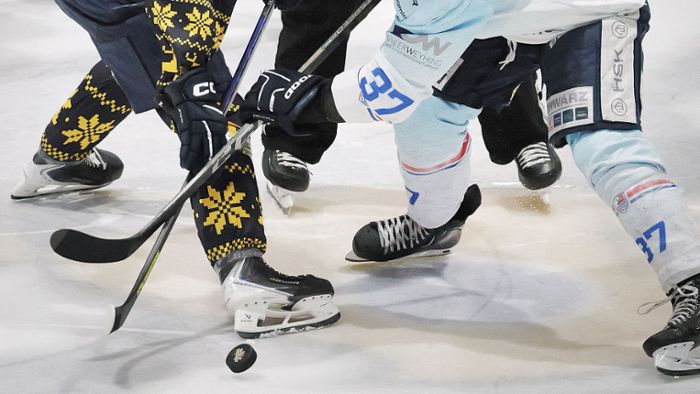 Eishockey-Oberliga:  Rebels: Rebels-Heimfluch hält an –  nur ein sonstiger Zuschauer überzeugt