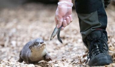 Streik im öffentlichen Dienst – auch Wilhelma betroffen
