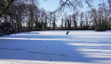 Zugefrorene Seen in Stuttgart: Lebensgefahr auf dem Eis – Verbot führt zu einzelnen Polizeieinsätzen