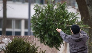 Kreis Esslingen: Wann und wo kann man seinen Christbaum entsorgen? - Kreis