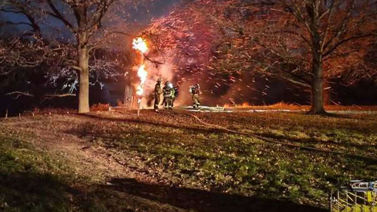 Bäume und Mülltonnen brennen: Zündler im Stuttgarter Naturschutzgebiet: Feuerwehr nach Silvester gefordert