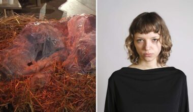 SWR-Krippenspiel in Stuttgart: Nach „Schleimjesus“-Kritik – Erstmals äußert sich die Künstlerin - Kultur