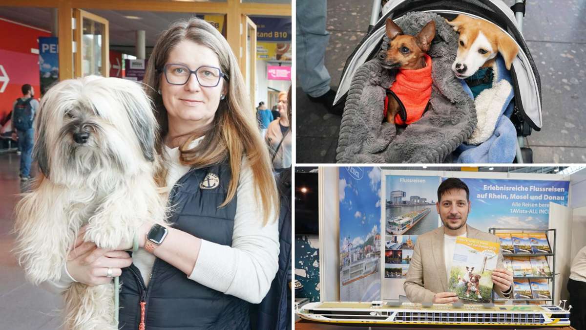 CMT in Stuttgart: Reisen mit Haustier? „Gefühlt 50 Prozent unserer Kunden haben Hunde“ - Startseite