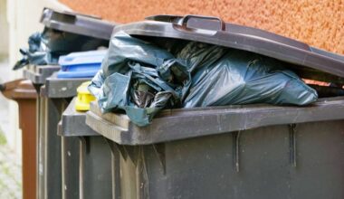 Abfall wird nicht abgeholt: Verzögerungen bei der Müllabfuhr im Kreis Esslingen – schon wieder Personalnot - Kreis